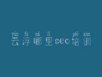 云浮哪里seo培训，建设网站的公司