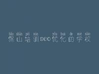 保山培训seo优化的学校_网站建设的基本步骤