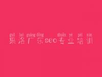 果洛广东seo专业培训_网站建设介绍