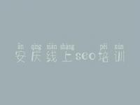 安庆线上seo培训 网络优化排名