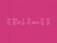 屯昌0基础seo培训 哪里有优化网站