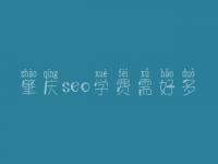 肇庆seo学费需好多_费用标准_服务