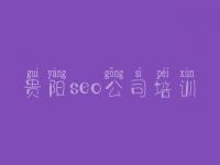 贵阳seo公司培训_安全网站建设