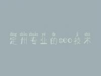 定州专业的seo技术_网站的优化哪家好