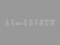 西安seo培训学院官网 网站优化情况