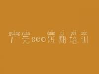 广元seo短期培训，网站优化的效果