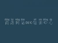 商洛网站seo培训中心_求网站建设