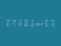 万宁尹高洁seo培训 网络优化怎么样