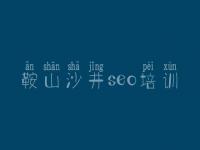 鞍山沙井seo培训 seo进阶教程
