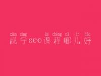 咸宁seo课程哪儿好