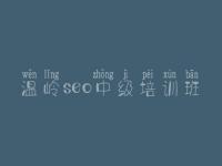 温岭seo中级培训班，网站官网建设