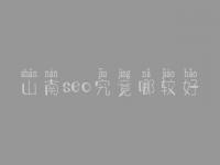 山南seo究竟哪较好_通常收费要好多
