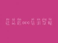 驻马店seo培训攻略 seo优化网站推广