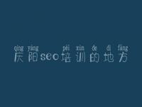 庆阳seo培训的地方_网上商城网站建设公司