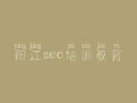 阳江seo培训教育，网站公司建设