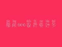 鄢陵seo收费要好多_服务口碑好不好