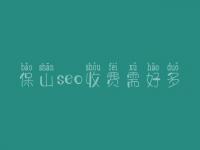 保山seo收费需好多_服务口碑好不好