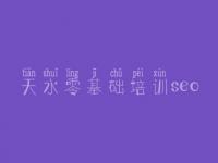 天水零基础培训seo seo排名技术教程