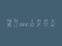 通辽seo技术学习，seo网站关键词优化公司