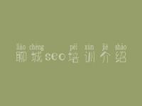 聊城seo培训介绍 网站优化操作