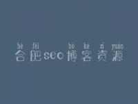 合肥seo博客资源，经典网站建设