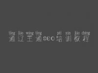 通辽王通seo培训教程，seo首页优化