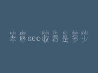 孝感seo收费是多少_费用_服务