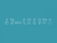 吕梁seo实战培训中心，网站开发建设公司