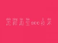 沈阳淘宝seo技术，做网站优化