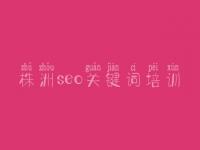 株洲seo关键词培训 seo优化顾问