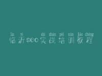 临沂seo实战培训教程 建设网站的公司