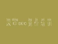 汉中seo竟价培训，seo搜索优化教程视频