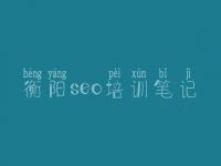 衡阳seo培训笔记_网站优化怎么样