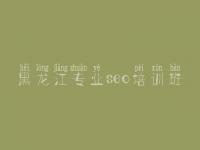 黑龙江专业seo培训班，优化网站怎么做