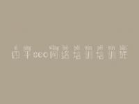 四平seo网络培训培训班 首页seo优化