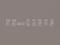 庆阳seo培训班学费 什么是搜索优化