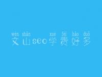 文山seo学费好多_服务好不好