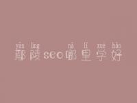 鄢陵seo哪里学好_大概价格需多少