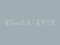 郑州seo培训一般多少钱_网站优化怎么去做