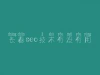 长春seo技术有没有用_seo教程seo教程