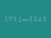 巴中企业seo培训机构_网站优化建议