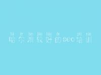 哈尔滨较好的seo培训_网站优化如何