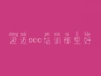 澄迈seo培训那里好_大地seo视频教程