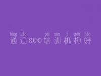 通辽seo培训机构好_企业seo优化公司