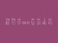 廊坊学seo培训机构 网站设计与建设