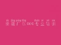 新疆广东seo专业培训，网站建设需要学习哪些