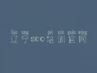 辽宁seo培训官网_网络优化的公司