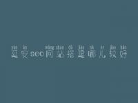 延安seo网站搭建哪儿较好，seo有前景没
