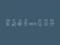 巢湖哪家seo培训好，哪个网站建设