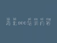 海北seo培训内容，网站建设及